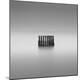 Premium Photographic Print
