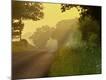Premium Photographic Print