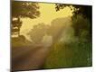 Photographic Print