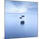 Premium Photographic Print