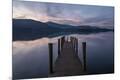 Premium Photographic Print