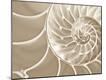 Premium Photographic Print