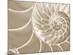 Premium Photographic Print