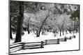 Photographic Print