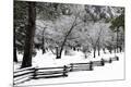 Photographic Print