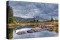 Stretched Canvas Print