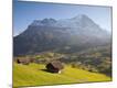 Photographic Print