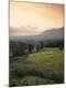 Premium Photographic Print