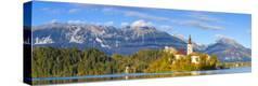 Stretched Canvas Print