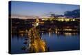 Stretched Canvas Print