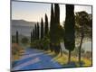 Photographic Print