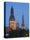 Stretched Canvas Print