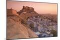 Photographic Print