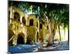 Photographic Print