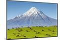 Premium Photographic Print