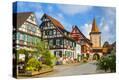 Stretched Canvas Print