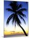 Premium Photographic Print