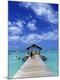 Premium Photographic Print