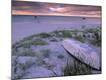 Premium Photographic Print