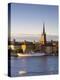 Stretched Canvas Print