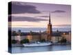 Stretched Canvas Print