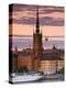 Stretched Canvas Print