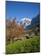Photographic Print
