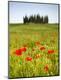 Premium Photographic Print