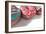 Doughnut Line IV-Monika Burkhart-Framed Photographic Print