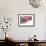 Doughnut Line IV-Monika Burkhart-Framed Photographic Print displayed on a wall