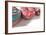 Doughnut Line IV-Monika Burkhart-Framed Photographic Print