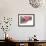 Doughnut Line IV-Monika Burkhart-Framed Photographic Print displayed on a wall