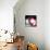 Doughnut Portal-ALI Chris-Mounted Giclee Print displayed on a wall