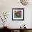 Doughnuts On Blue-Ron Magnes-Framed Giclee Print displayed on a wall