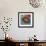 Doughnuts On Blue-Ron Magnes-Framed Giclee Print displayed on a wall