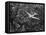 Douglas 4 Flying over Manhattan-Margaret Bourke-White-Framed Premier Image Canvas