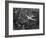 Douglas 4 Flying over Manhattan-Margaret Bourke-White-Framed Premium Photographic Print