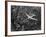 Douglas 4 Flying over Manhattan-Margaret Bourke-White-Framed Premium Photographic Print