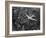 Douglas 4 Flying over Manhattan-Margaret Bourke-White-Framed Photographic Print