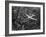 Douglas 4 Flying over Manhattan-Margaret Bourke-White-Framed Photographic Print