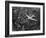 Douglas 4 Flying over Manhattan-Margaret Bourke-White-Framed Photographic Print