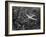 Douglas 4 Flying over Manhattan-Margaret Bourke-White-Framed Photographic Print