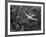 Douglas 4 Flying over Manhattan-Margaret Bourke-White-Framed Photographic Print
