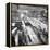 Douglas Aircrafts' Main Assembly Line-John Florea-Framed Premier Image Canvas