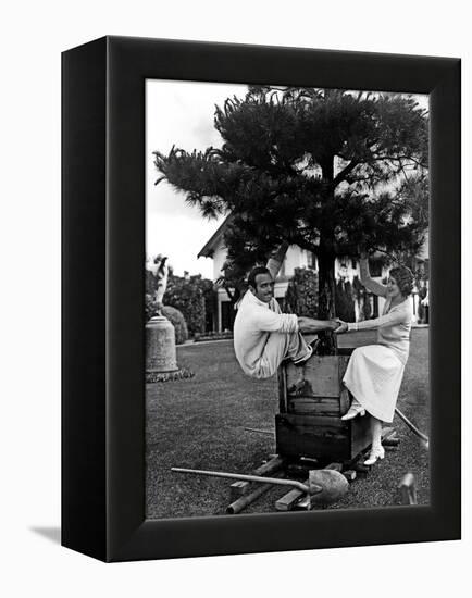 Douglas Fairbanks and sa femme Mary Pickford en, 1923-null-Framed Stretched Canvas