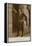 Douglas Fairbanks-null-Framed Premier Image Canvas