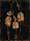Autumn Elegance II-Douglas-Stretched Canvas