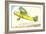 Douglas Observation Plane O-46-A-null-Framed Art Print
