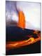 Premium Photographic Print