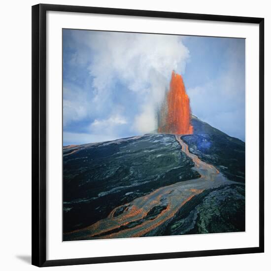 Photographic Print, , large